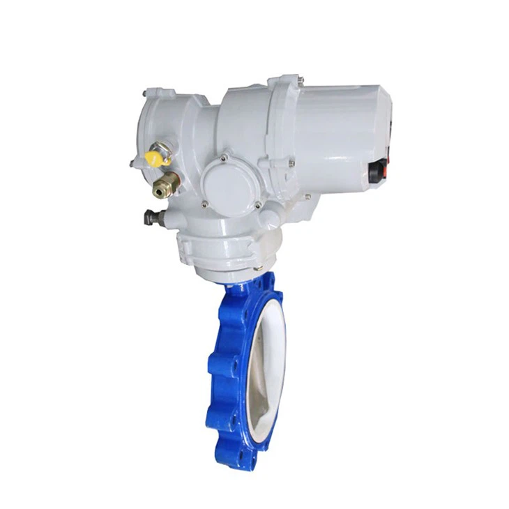 Modbus Hart Remote Actuated Butterfly Valve