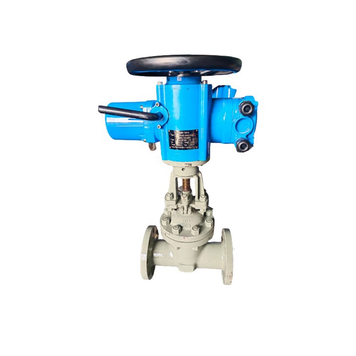 Rising Stem Electric High Pressure Gate Valve