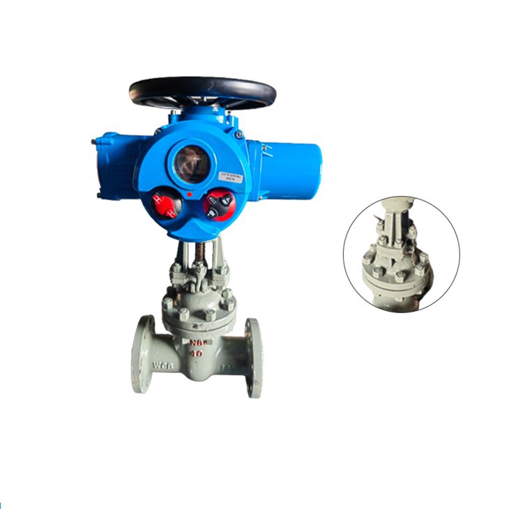 Rising Stem Electric High Pressure Gate Valve