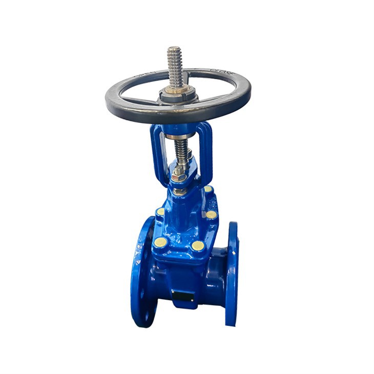 Manual Cast Iron Resilient Seated Gate Valve